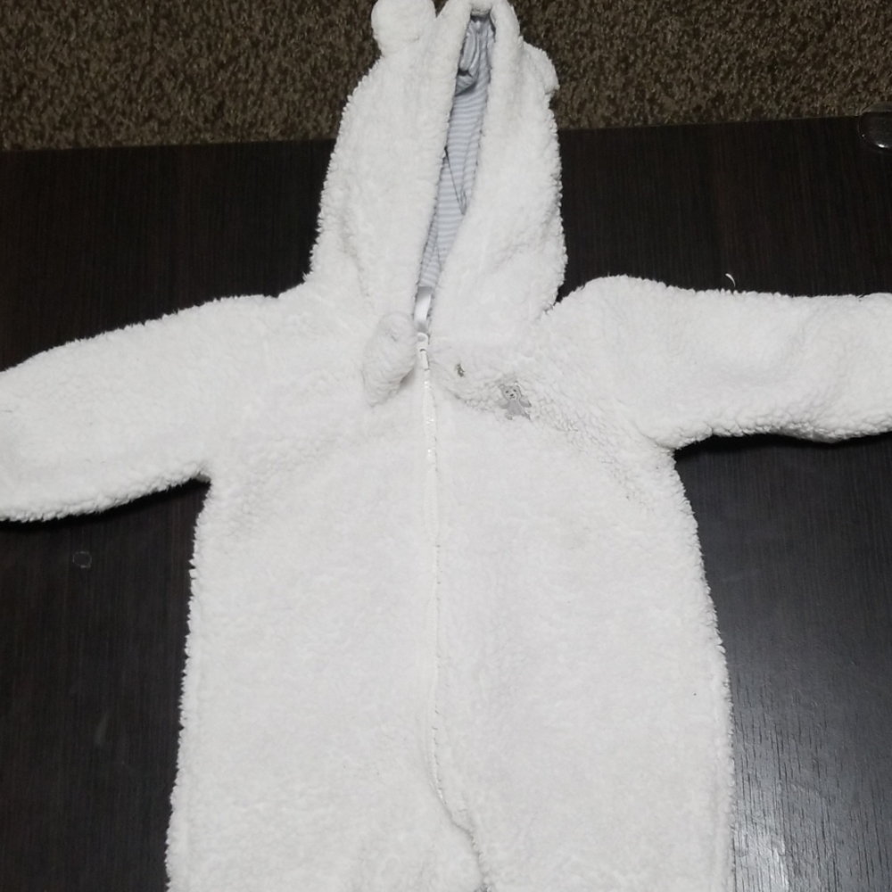 Carter's bear suit